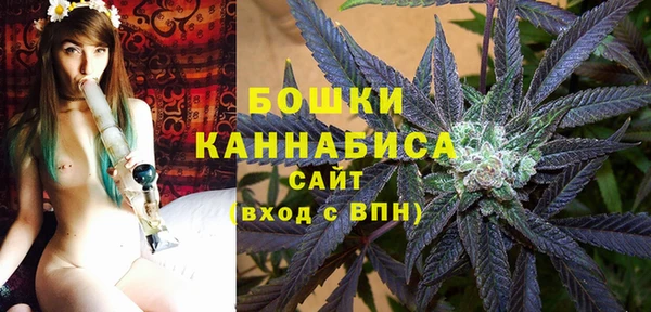 PSILOCYBIN Лихославль