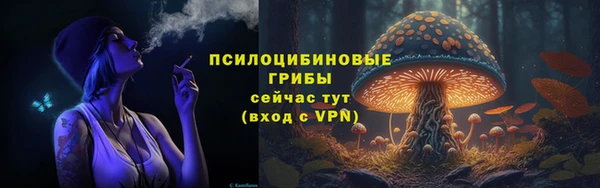 СК Лиски