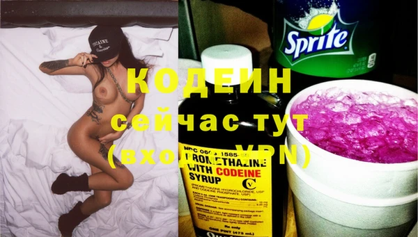 индика Соль-Илецк