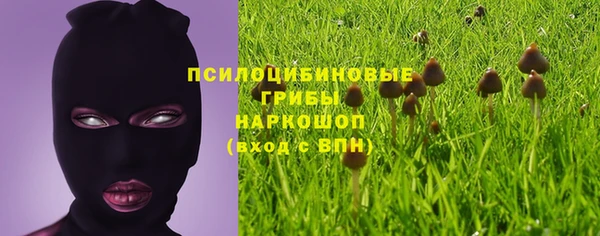 соль курить ск Медвежьегорск